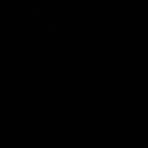 Meet your Posher, Luis